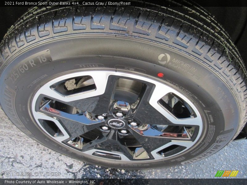Cactus Gray / Ebony/Roast 2021 Ford Bronco Sport Outer Banks 4x4