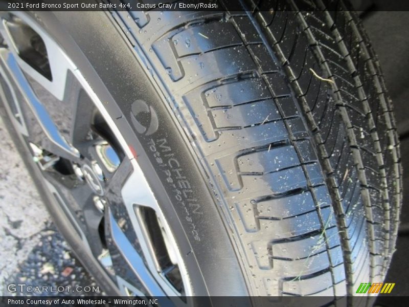 Cactus Gray / Ebony/Roast 2021 Ford Bronco Sport Outer Banks 4x4