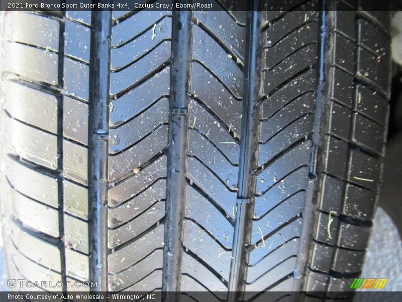 Cactus Gray / Ebony/Roast 2021 Ford Bronco Sport Outer Banks 4x4