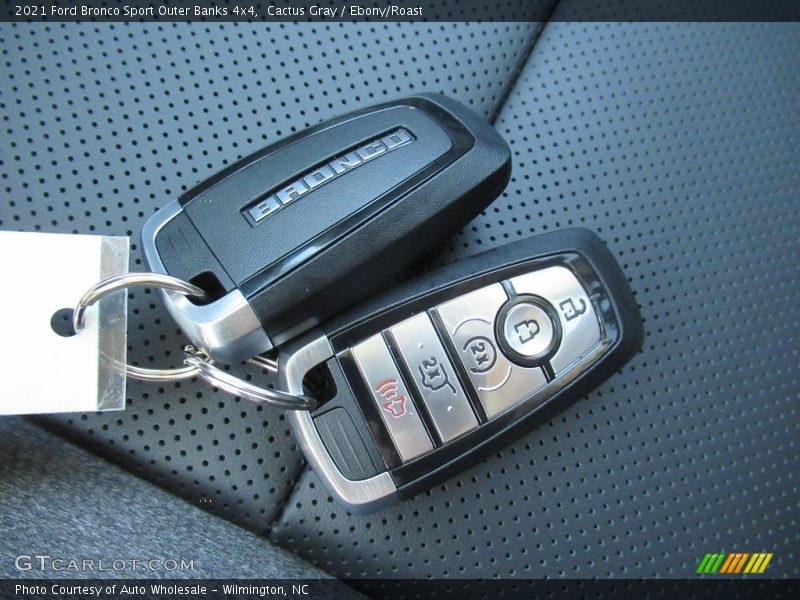 Cactus Gray / Ebony/Roast 2021 Ford Bronco Sport Outer Banks 4x4