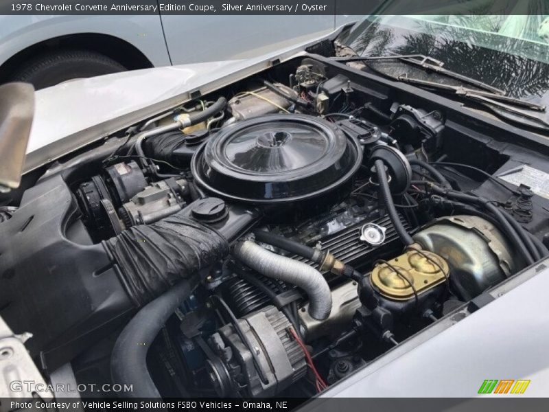 Silver Anniversary / Oyster 1978 Chevrolet Corvette Anniversary Edition Coupe