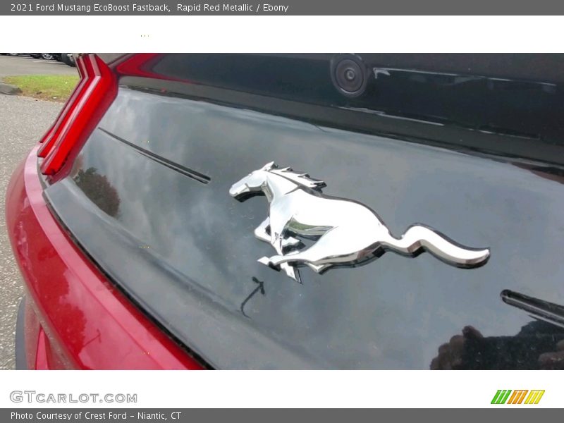  2021 Mustang EcoBoost Fastback Logo