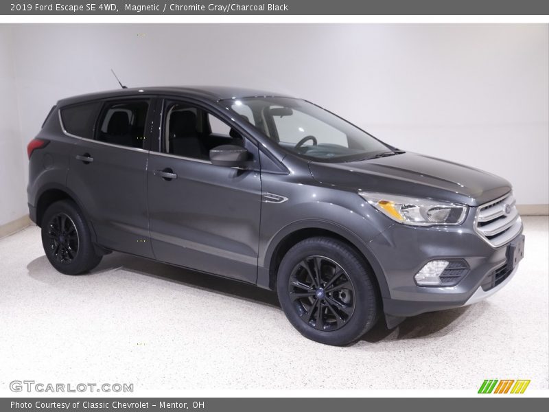 Magnetic / Chromite Gray/Charcoal Black 2019 Ford Escape SE 4WD