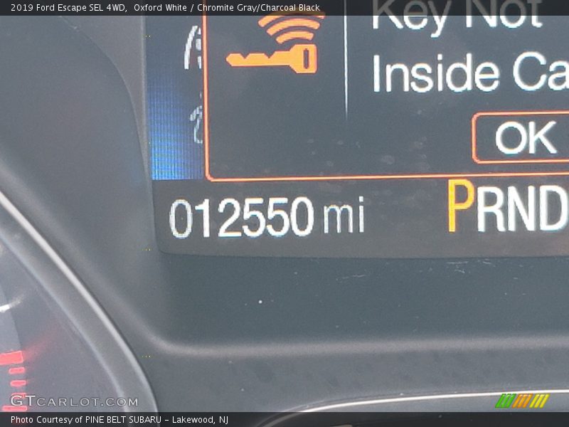 Oxford White / Chromite Gray/Charcoal Black 2019 Ford Escape SEL 4WD