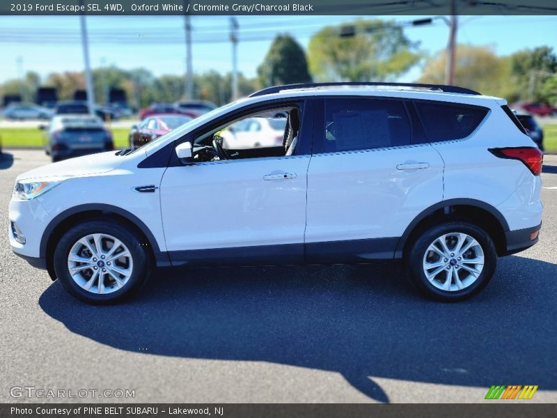 Oxford White / Chromite Gray/Charcoal Black 2019 Ford Escape SEL 4WD