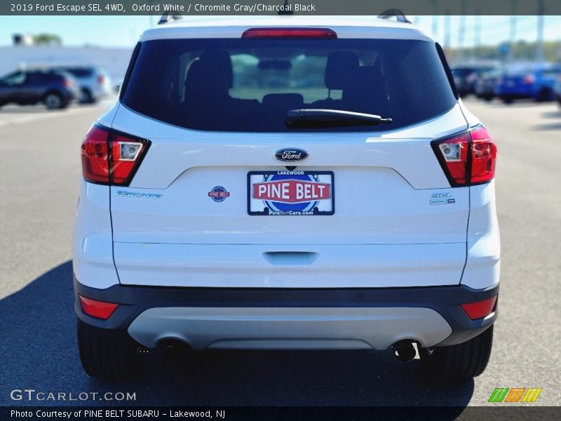Oxford White / Chromite Gray/Charcoal Black 2019 Ford Escape SEL 4WD