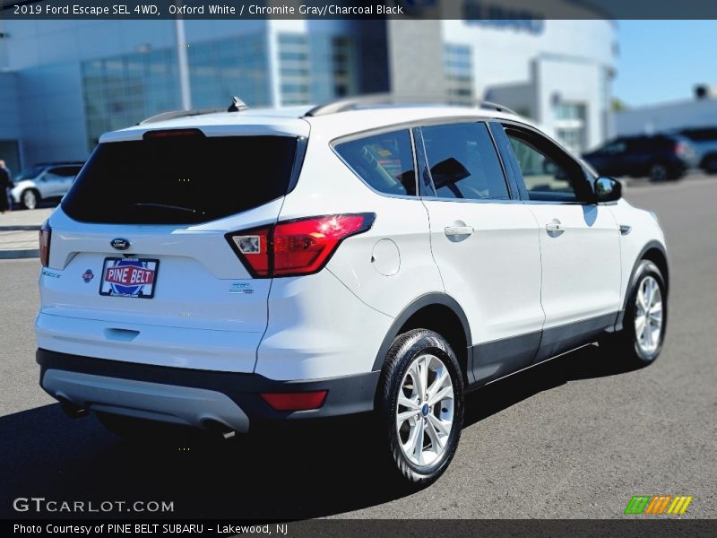 Oxford White / Chromite Gray/Charcoal Black 2019 Ford Escape SEL 4WD