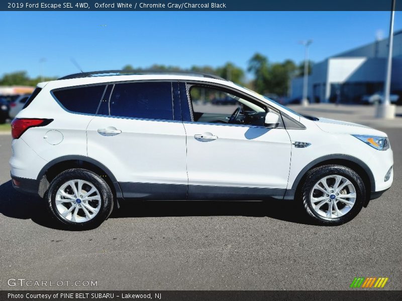 Oxford White / Chromite Gray/Charcoal Black 2019 Ford Escape SEL 4WD