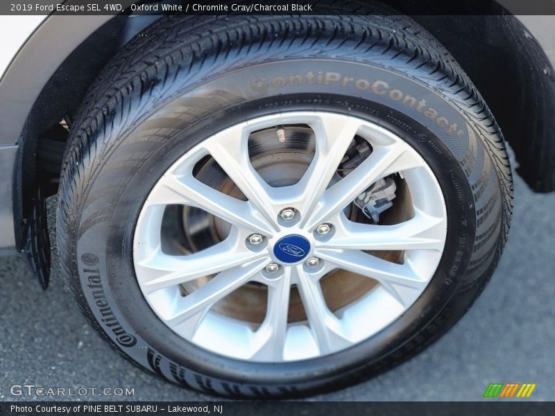 Oxford White / Chromite Gray/Charcoal Black 2019 Ford Escape SEL 4WD