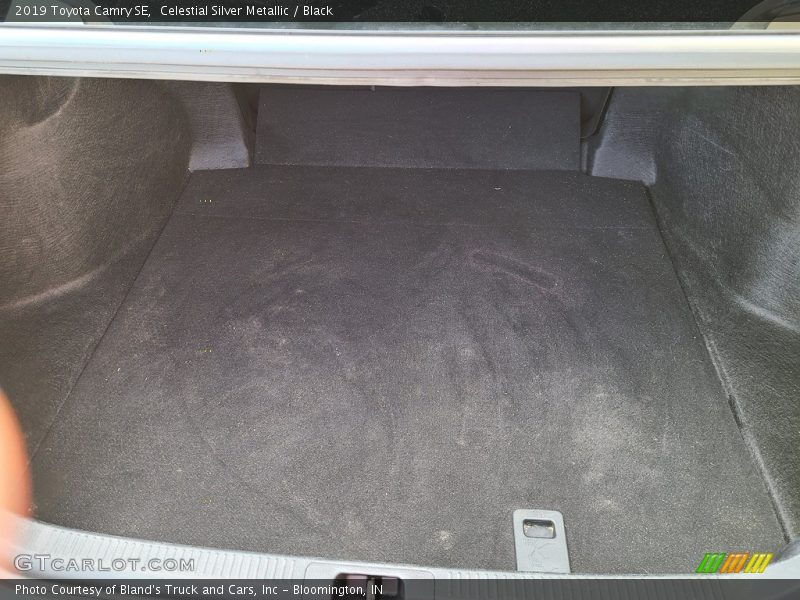 Celestial Silver Metallic / Black 2019 Toyota Camry SE