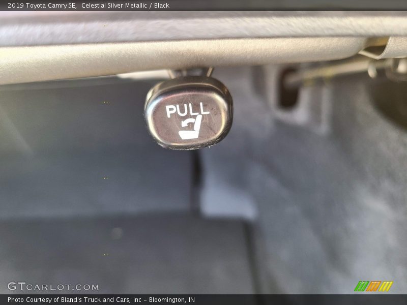 Celestial Silver Metallic / Black 2019 Toyota Camry SE