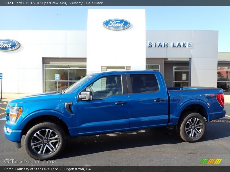 Velocity Blue / Black 2021 Ford F150 STX SuperCrew 4x4