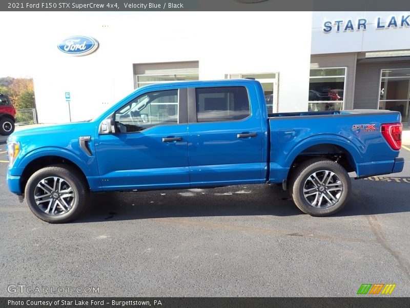 Velocity Blue / Black 2021 Ford F150 STX SuperCrew 4x4