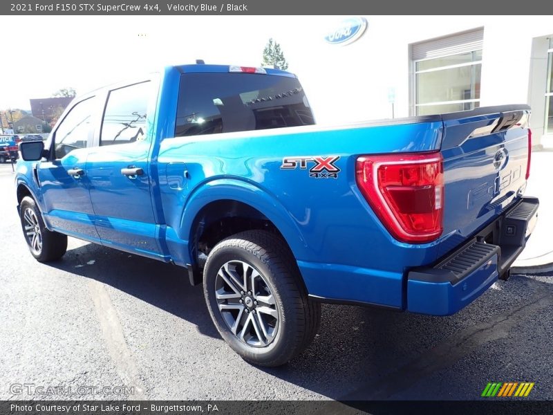 Velocity Blue / Black 2021 Ford F150 STX SuperCrew 4x4
