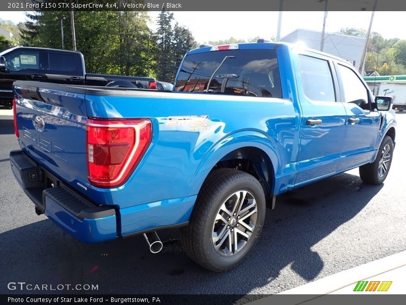 Velocity Blue / Black 2021 Ford F150 STX SuperCrew 4x4