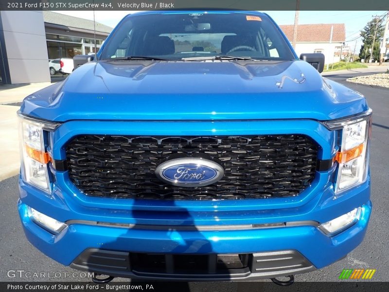 Velocity Blue / Black 2021 Ford F150 STX SuperCrew 4x4
