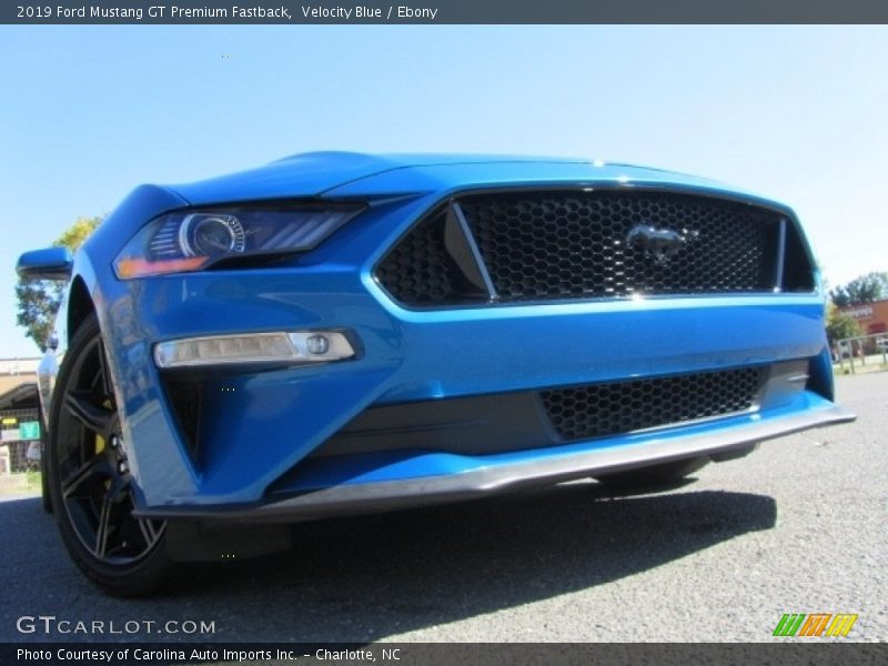 Velocity Blue / Ebony 2019 Ford Mustang GT Premium Fastback