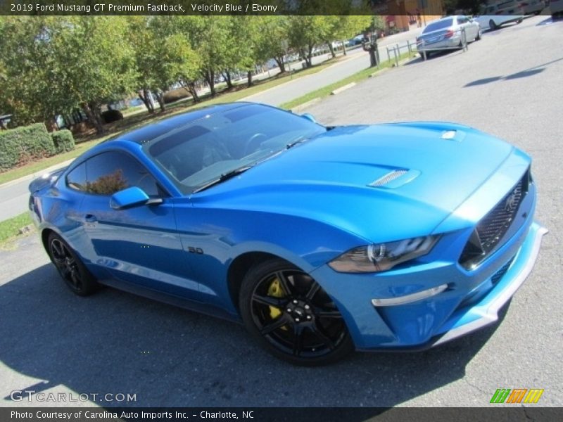 Velocity Blue / Ebony 2019 Ford Mustang GT Premium Fastback