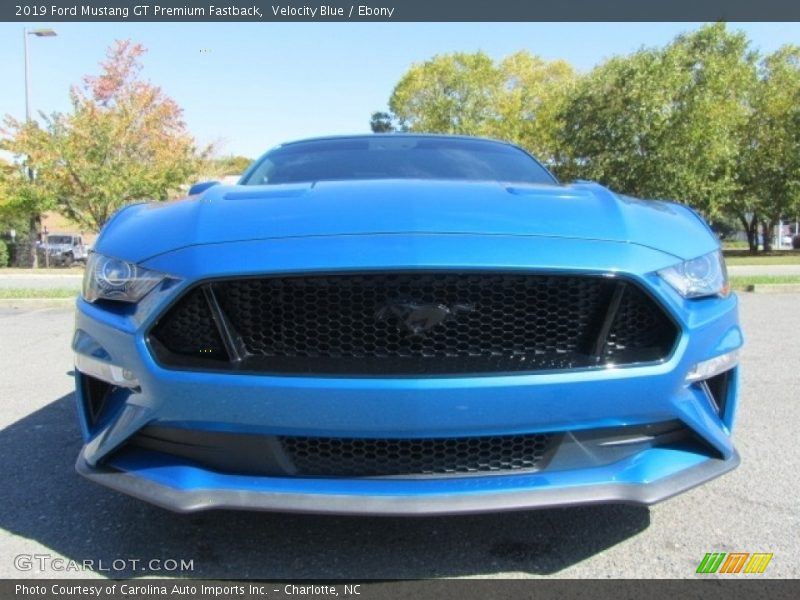 Velocity Blue / Ebony 2019 Ford Mustang GT Premium Fastback