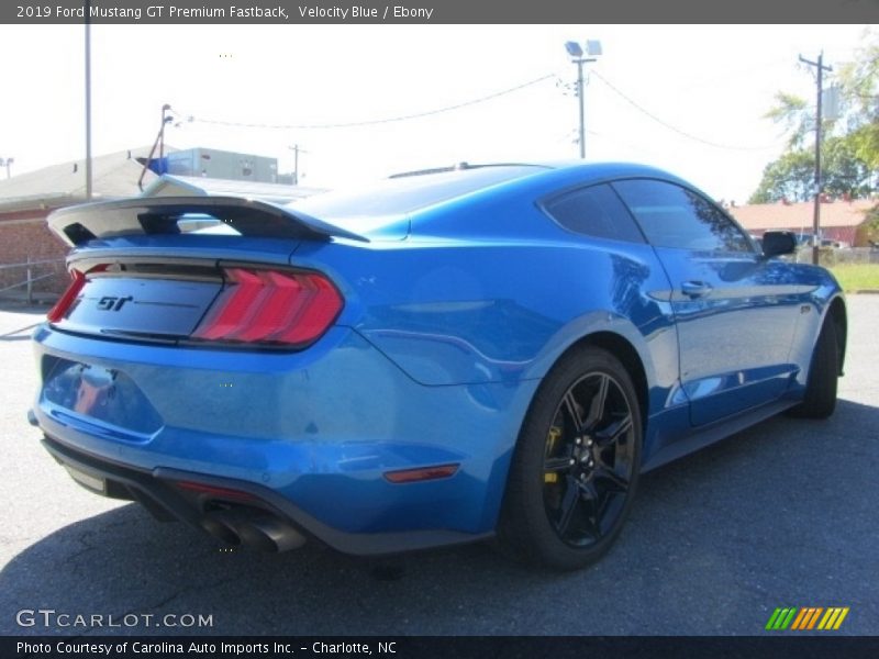 Velocity Blue / Ebony 2019 Ford Mustang GT Premium Fastback