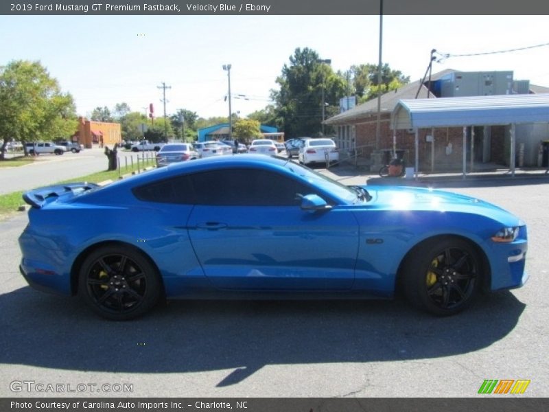 Velocity Blue / Ebony 2019 Ford Mustang GT Premium Fastback