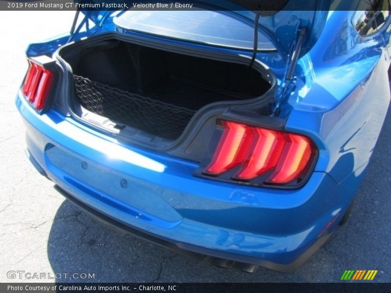 Velocity Blue / Ebony 2019 Ford Mustang GT Premium Fastback