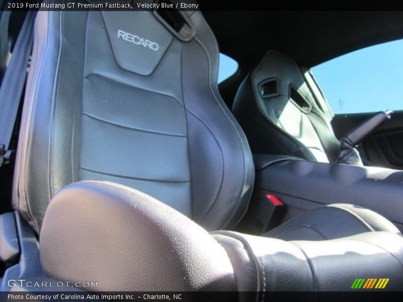 Velocity Blue / Ebony 2019 Ford Mustang GT Premium Fastback