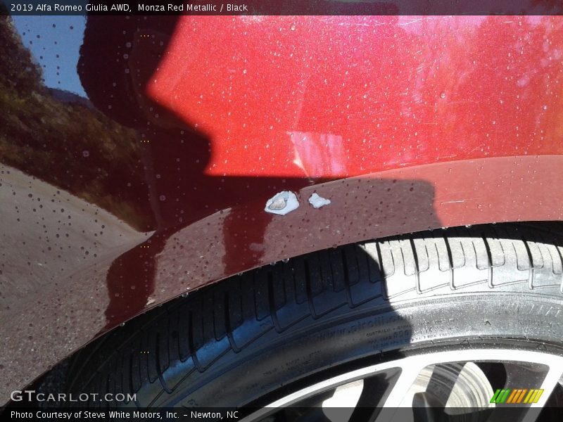 Monza Red Metallic / Black 2019 Alfa Romeo Giulia AWD