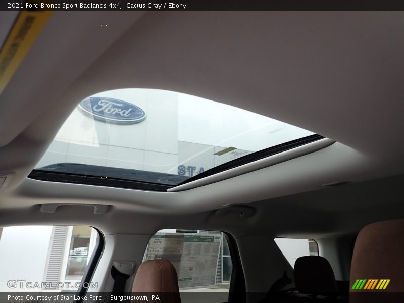 Cactus Gray / Ebony 2021 Ford Bronco Sport Badlands 4x4