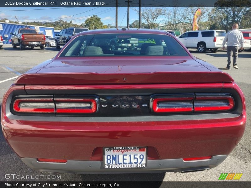 Octane Red Pearl / Black 2019 Dodge Challenger R/T