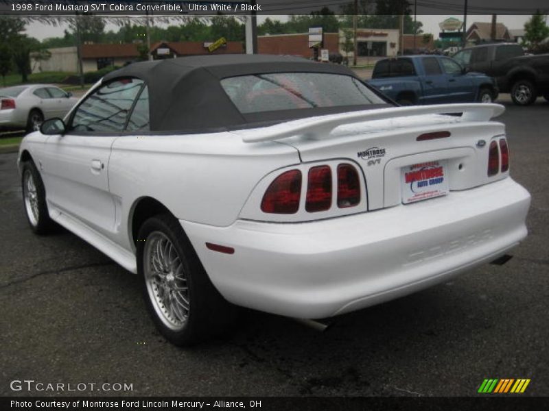 Ultra White / Black 1998 Ford Mustang SVT Cobra Convertible