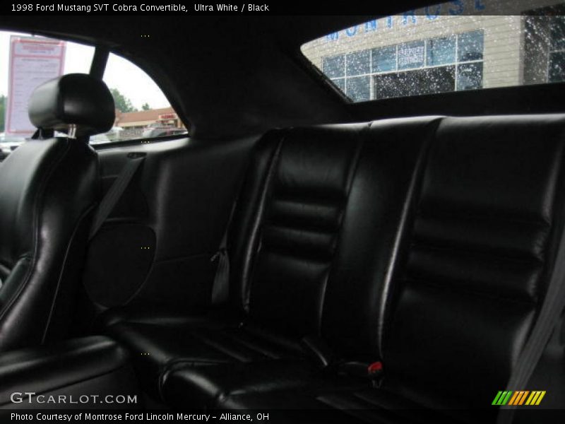Ultra White / Black 1998 Ford Mustang SVT Cobra Convertible