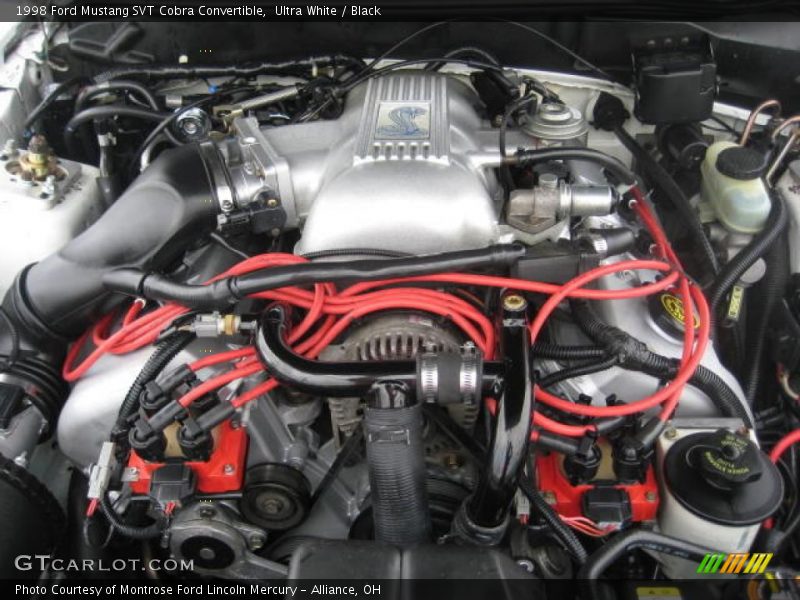Ultra White / Black 1998 Ford Mustang SVT Cobra Convertible