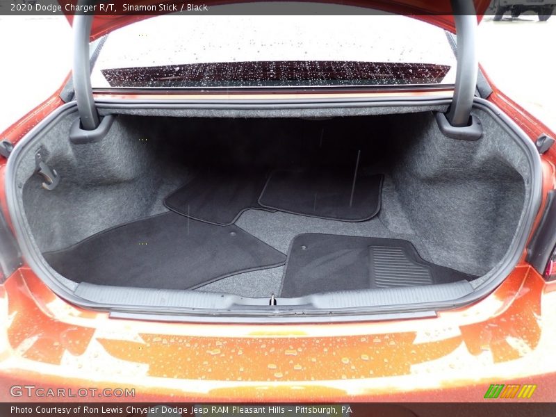 Sinamon Stick / Black 2020 Dodge Charger R/T