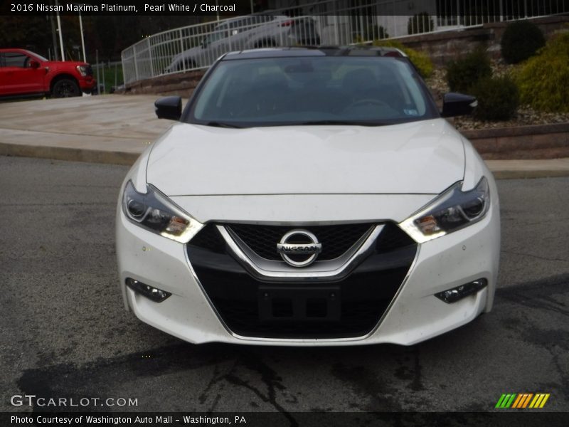 Pearl White / Charcoal 2016 Nissan Maxima Platinum