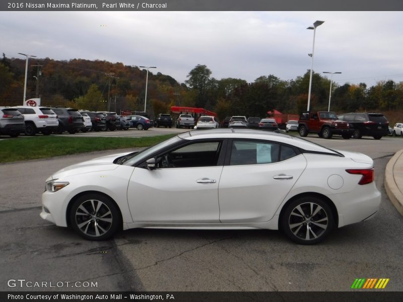 Pearl White / Charcoal 2016 Nissan Maxima Platinum