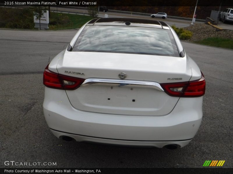 Pearl White / Charcoal 2016 Nissan Maxima Platinum