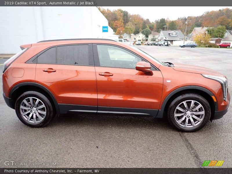  2019 XT4 Sport Autumn Metallic