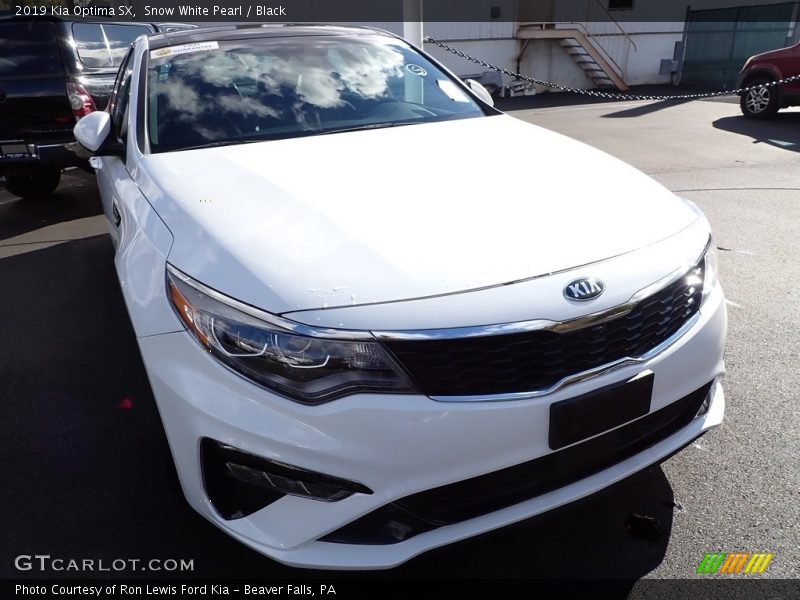 Snow White Pearl / Black 2019 Kia Optima SX