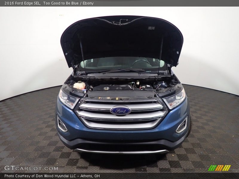 Too Good to Be Blue / Ebony 2016 Ford Edge SEL