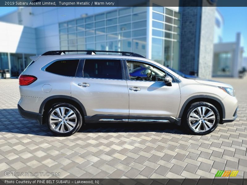  2019 Ascent Limited Tungsten Metallic