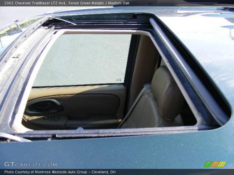 Forest Green Metallic / Medium Oak 2002 Chevrolet TrailBlazer LTZ 4x4