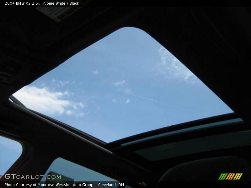 Alpine White / Black 2004 BMW X3 2.5i