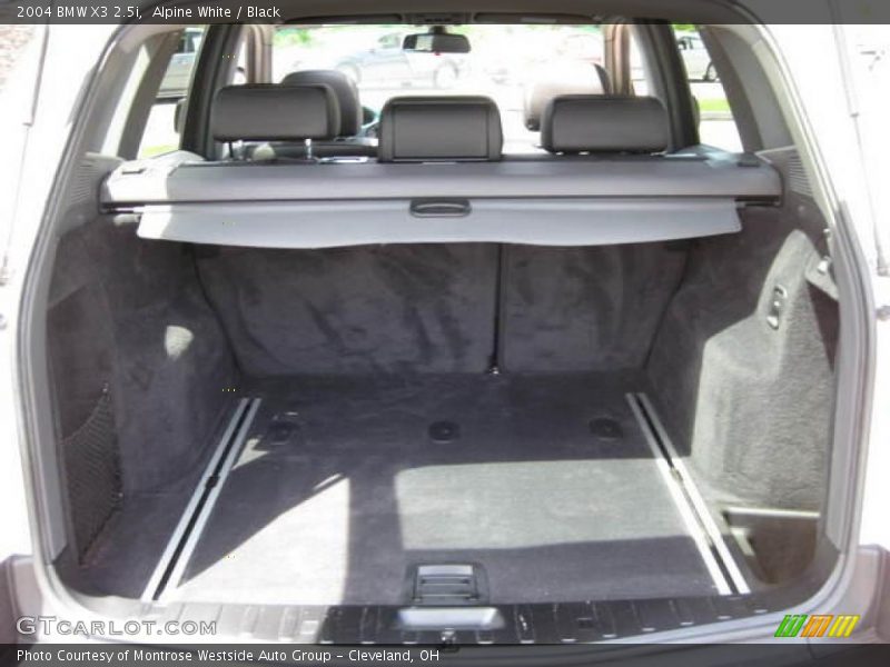 Alpine White / Black 2004 BMW X3 2.5i