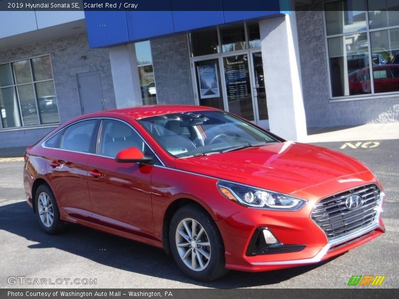 Scarlet Red / Gray 2019 Hyundai Sonata SE