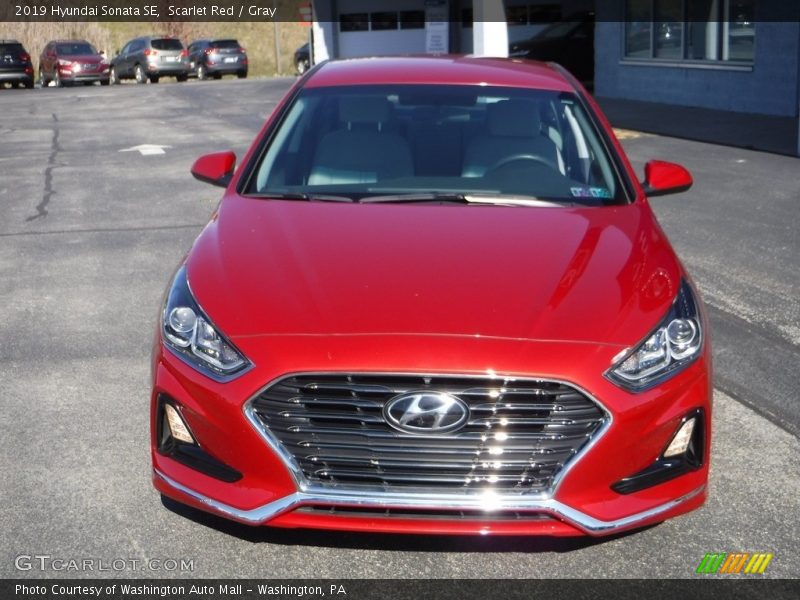 Scarlet Red / Gray 2019 Hyundai Sonata SE