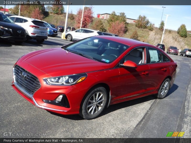 Scarlet Red / Gray 2019 Hyundai Sonata SE