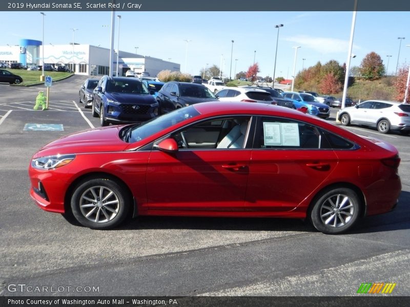 Scarlet Red / Gray 2019 Hyundai Sonata SE