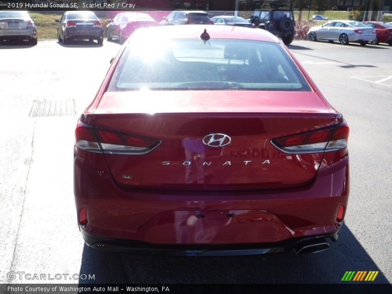 Scarlet Red / Gray 2019 Hyundai Sonata SE