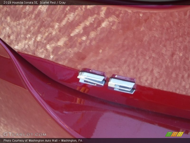 Scarlet Red / Gray 2019 Hyundai Sonata SE